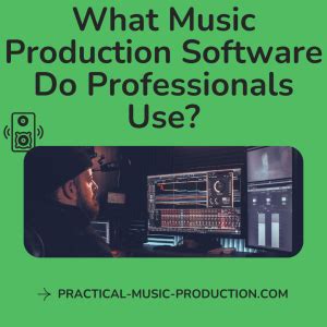 What Music Production Software Do Professionals Use? And What Else Drives Their Creative Process?